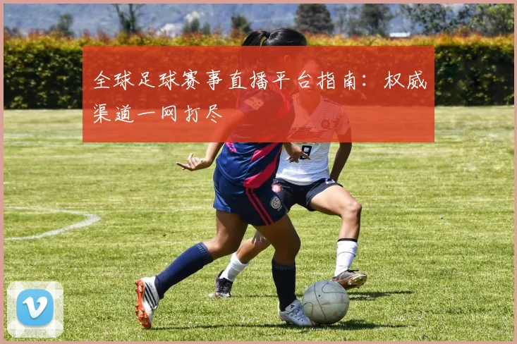 全球足球赛事直播平台指南:权威渠道一网打尽