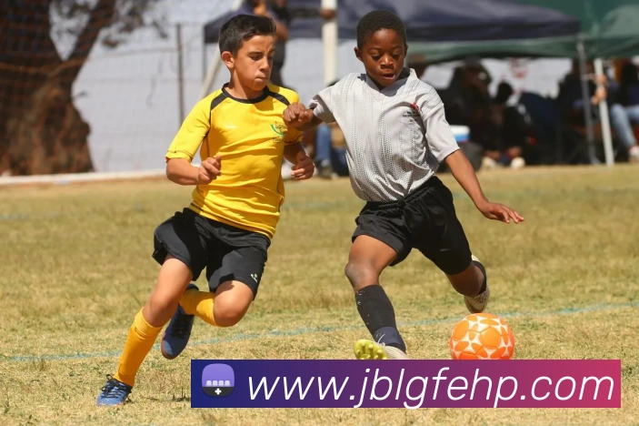互动解说服务